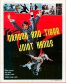 The Dragon and Tiger Joint Hands Free Download