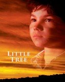 poster_the-education-of-little-tree_tt0119052.jpg Free Download