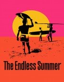 The Endless Summer poster