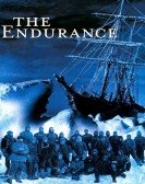 poster_the-endurance-shackletons-legendary-antarctic-expedition_tt0264578.jpg Free Download