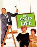 The Facts of Life (1960) Free Download