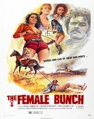 poster_the-female-bunch_tt0064321.jpg Free Download