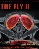 poster_the-fish-the-fly-2-nymphs_tt4790858.jpg Free Download