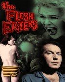 poster_the-flesh-eaters_tt0058101.jpg Free Download