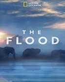 The Flood Free Download