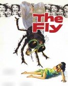 The Fly (1958) Free Download