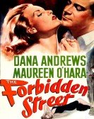 The Forbidden Street Free Download