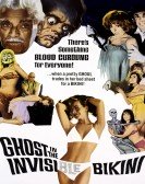 poster_the-ghost-in-the-invisible-bikini_tt0060457.jpg Free Download