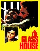 The Glass House Free Download