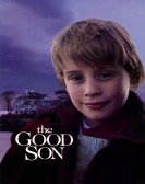 The Good Son poster