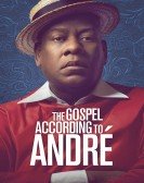 The Gospel According to AndrÃ© poster