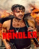 The Handler Free Download