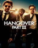 The Hangover Part III (2013) Free Download