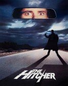 poster_the-hitcher_tt0091209.jpg Free Download