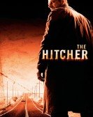 poster_the-hitcher_tt0455960.jpg Free Download