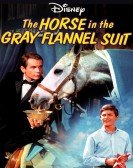 poster_the-horse-in-the-gray-flannel-suit_tt0063091.jpg Free Download