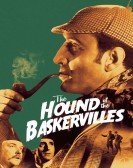 poster_the-hound-of-the-baskervilles_tt0031448.jpg Free Download