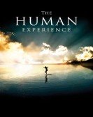 poster_the-human-experience_tt1252298.jpg Free Download