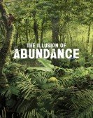 The Illusion of Abundance poster