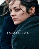 The Immigrant (2013) Free Download