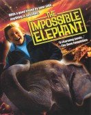 The Incredible Elephant poster