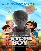 poster_the-incredible-story-of-stone-boy_tt3198454.jpg Free Download