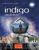 poster_the-indigo-evolution_tt2853326.jpg Free Download