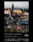 The Iron Triangle Free Download