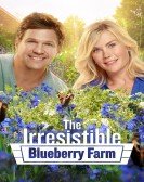 poster_the-irresistible-blueberry-farm_tt6131636.jpg Free Download