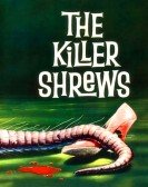 poster_the-killer-shrews_tt0052969.jpg Free Download