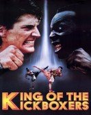 The King of the Kickboxers (1990) poster