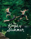 The Kings of Summer (2013) poster