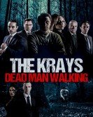 poster_the-krays-dead-man-walking_tt7858466.jpg Free Download