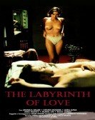 The Labyrinth of Love Free Download