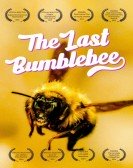 The Last Bumblebee poster