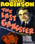 The Last Gangster Free Download