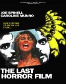 The Last Horror Film (1982) poster