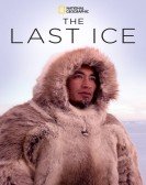 The Last Ice Free Download