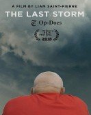 The Last Storm poster