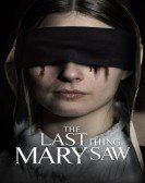 The Last Thing Mary Saw Free Download