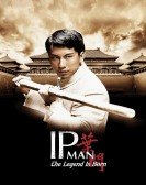 Yip Man chinchyun (2010) Free Download