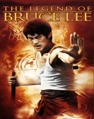 The Legend of Bruce Lee Free Download