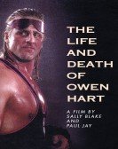 poster_the-life-and-death-of-owen-hart_tt0434760.jpg Free Download