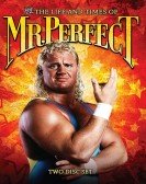 The Life and Times of Mr. Perfect Free Download