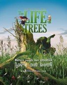 poster_the-life-of-trees_tt2805990.jpg Free Download