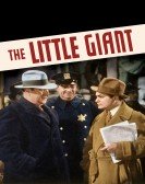 The Little Giant (1933) Free Download