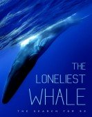 poster_the-loneliest-whale-the-search-for-52_tt2401814.jpg Free Download