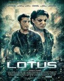 poster_the-lotus_tt3310896.jpg Free Download