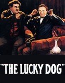 The Lucky Dog Free Download