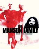 Manson Famil poster